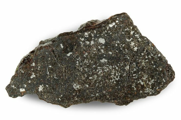 Polished Vaca Muerta Mesosiderite Meteorite ( g) - Chile #246990